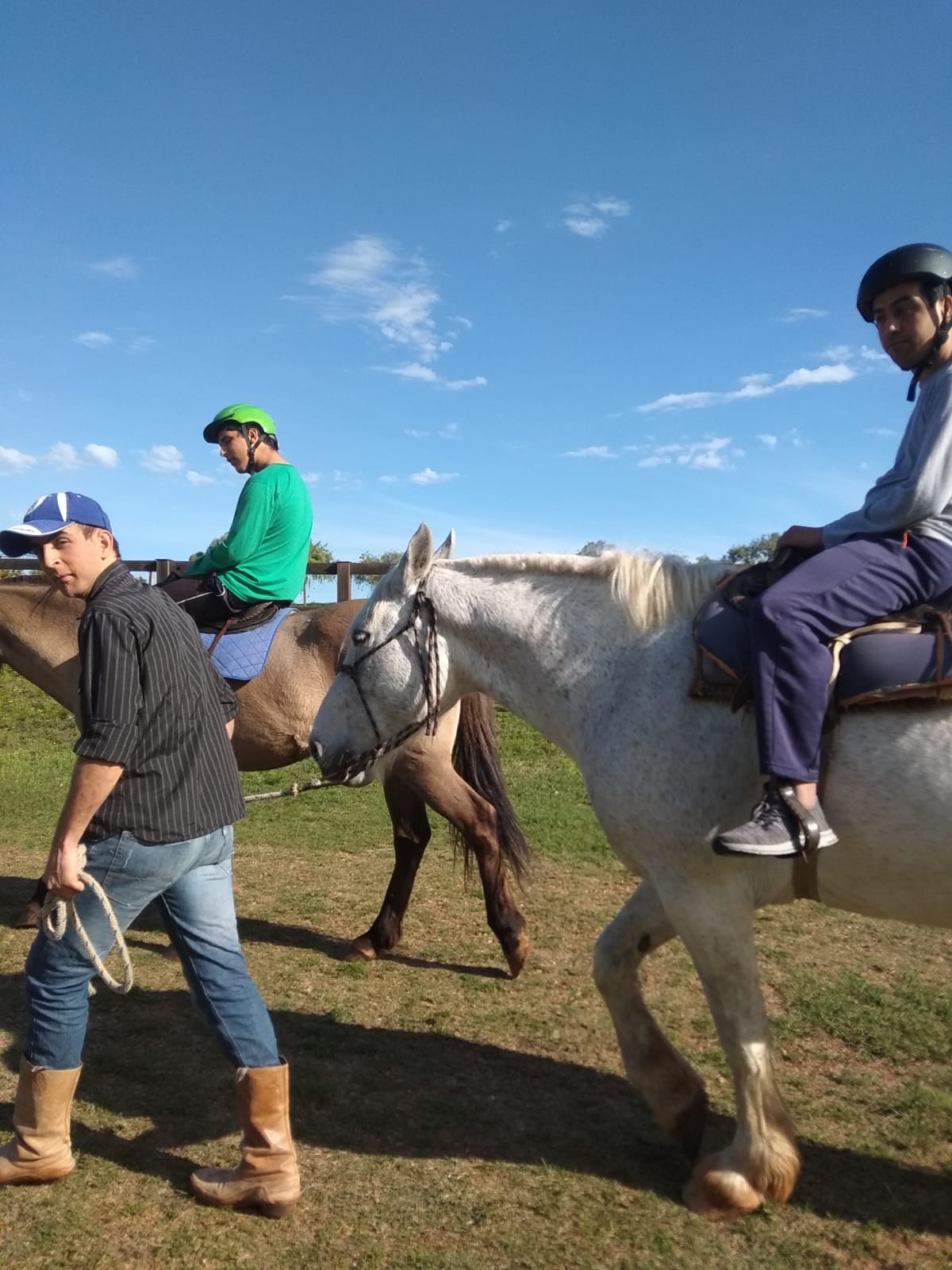 equino